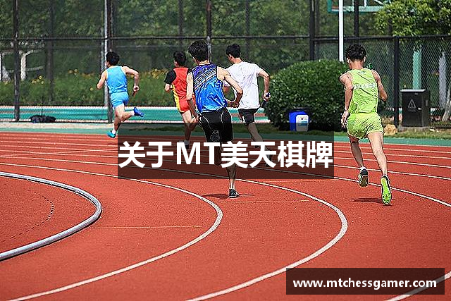 关于MT美天棋牌