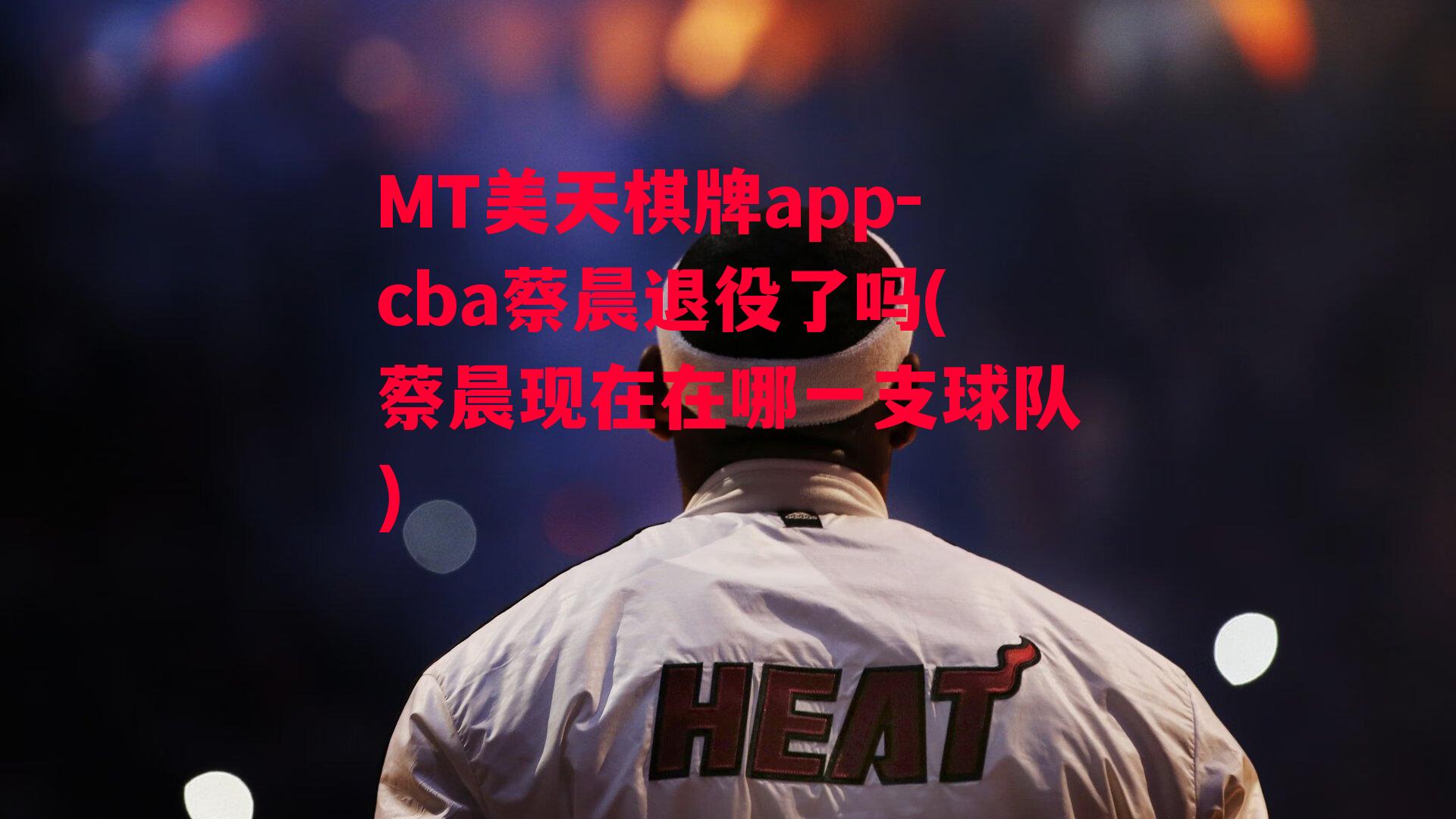 cba蔡晨退役了吗(蔡晨现在在哪一支球队)